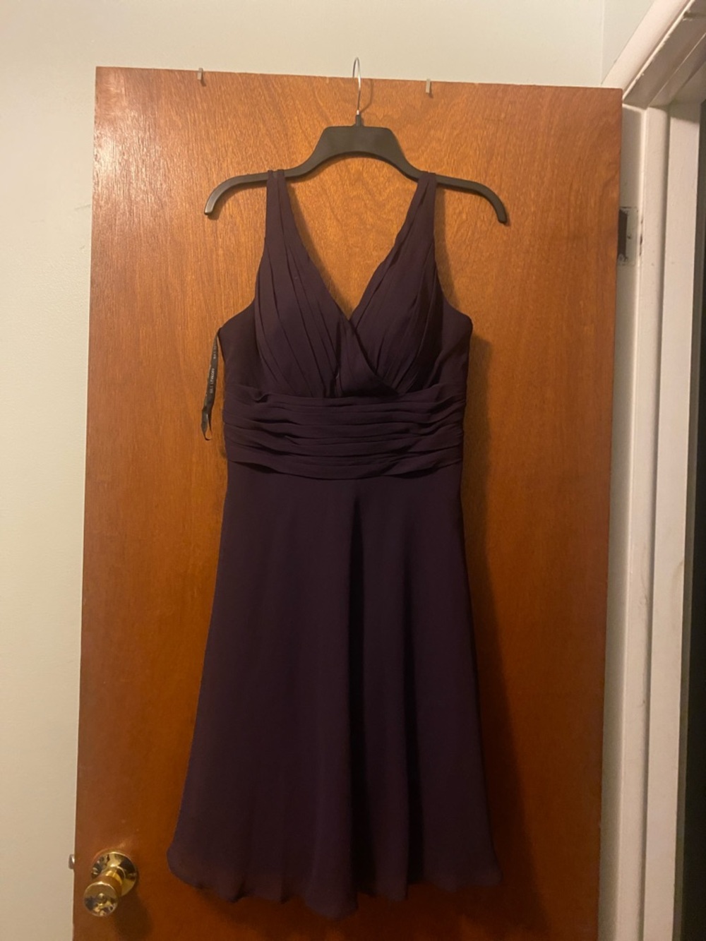 Bill Levkoff V-Neck Sleeveless Chiffon A-Line Dress in Deep Plum. Size 10